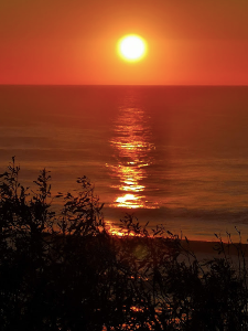 Sunshine Beach Sunrise-536